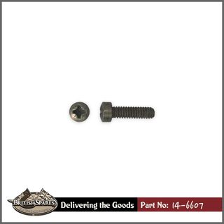 14-6607 Screw