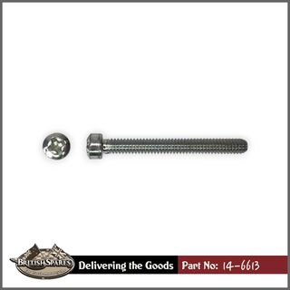 14-6613 Screw
