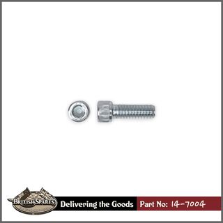 14-7004 Screw