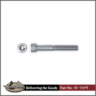14-7009 Screw