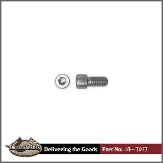 14-7017 Screw