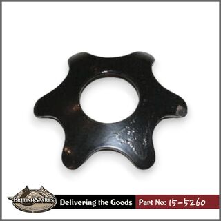 15-5260 Star Washer