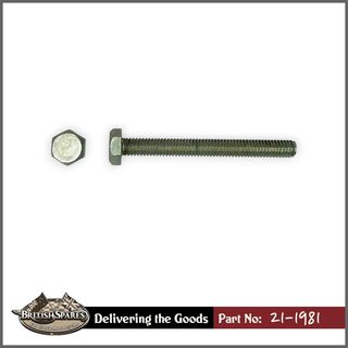 21-1981 Bolt