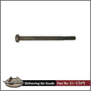 21-2309 Screw