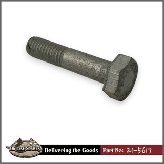 21-5617 Bolt