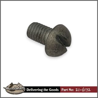 21-6172 Screw