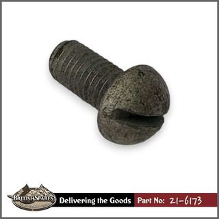 21-6173 Screw