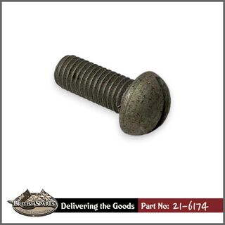 21-6174 Screw