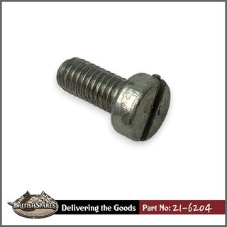 21-6204 Screw