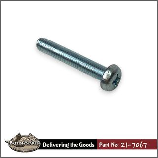 21-7067 Screw
