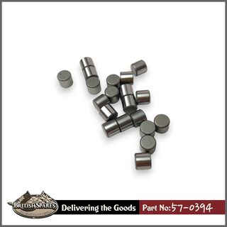 57-0394 Bearing Roller