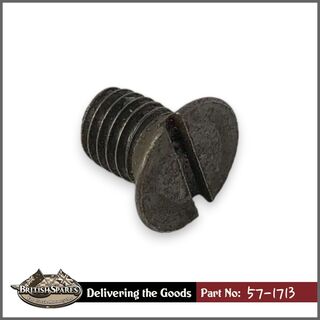 57-1713 Screw
