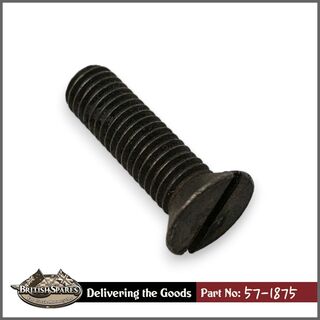 57-1875 Screw