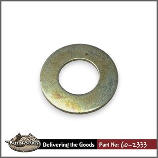60-2333 Washer