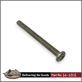 60-2516 Screw