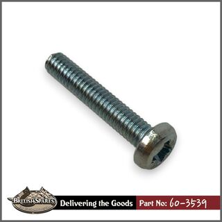 60-3539 Screw