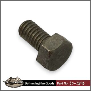 60-3896 Bolt