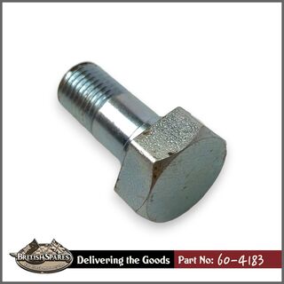 60-4183 Banjo Bolt