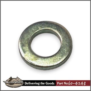 60-4248 Washer