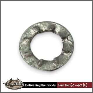 60-4256 Shakeproof Washer