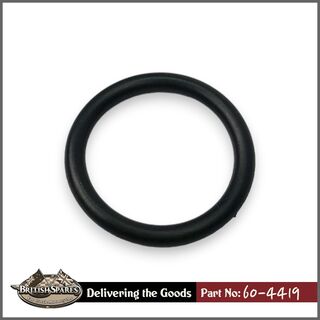 60-4419 O-Ring