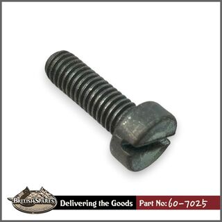 60-7025 Screw
