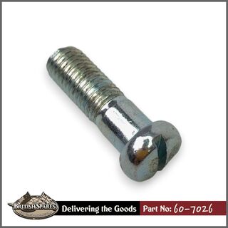60-7026 Pivot Screw