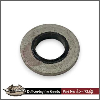 60-7268 Washer