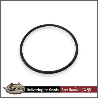 60-7295 O Ring