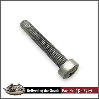 68-7703 Screw