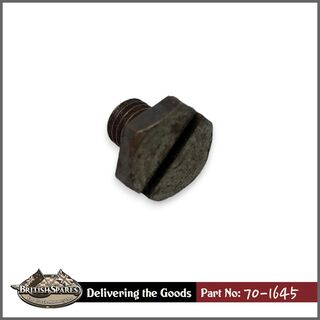 70-1645 Screw