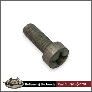 70-3200 Screw