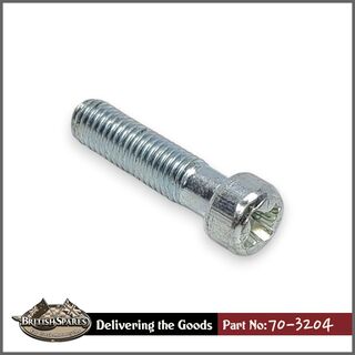 70-3204 Screw