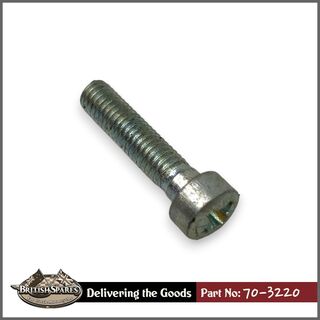 70-3220 Screw
