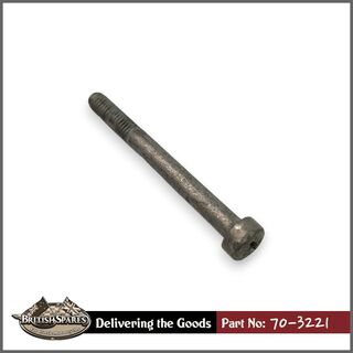 70-3221 Screw