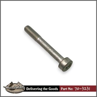 70-3231 Screw