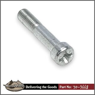 70-3668 Screw