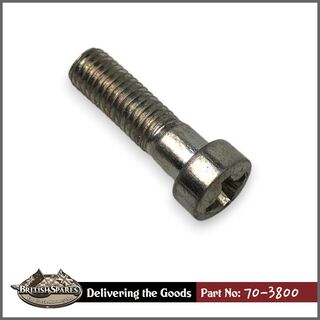 70-3800 Screw