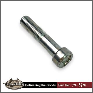 70-3801 Screw
