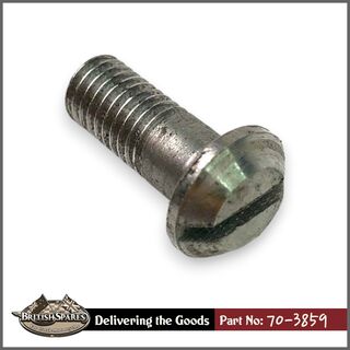 70-3859 Screw