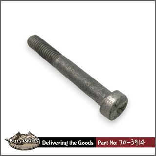 70-3914 Screw