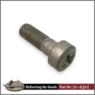 70-4806 Screw
