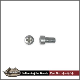 14-0604 Screw