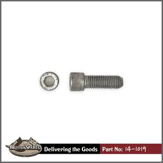 14-1019 Screw