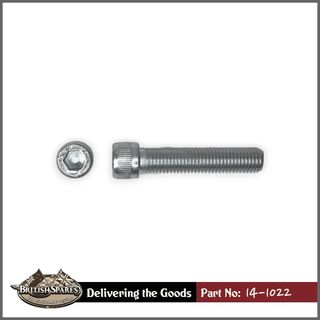 14-1022 Screw