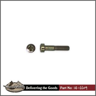 14-6609 Screw