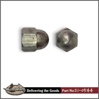 21-0544 Dome Nut
