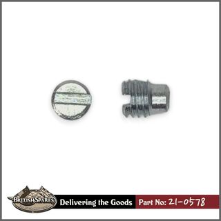 21-0578 Grub Screw