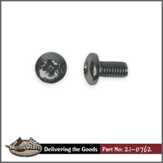 21-0762 Screw