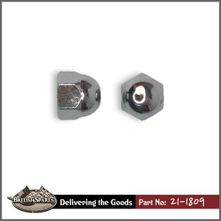 21-1809 Dome Nut